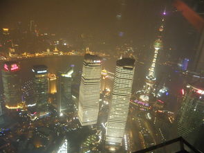 華東游6 上海經貿88樓