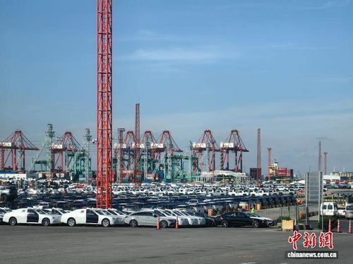 前三季度經濟數據展現(xiàn)上海經濟韌性 上海貿易穩(wěn)中提質彰顯開放活力